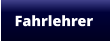 Fahrlehrer