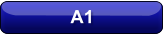 A1