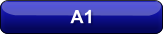 A1