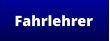 Fahrlehrer
