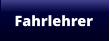 Fahrlehrer